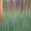 thumbs/IMG_3788.jpg